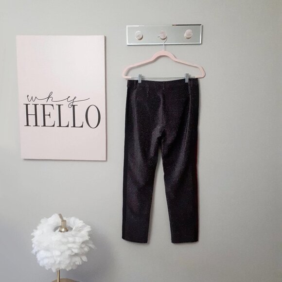 NWT Scotch & Soda black sparkly velvet stripe pants, S - Picture 9 of 13